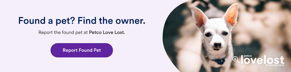 Banner-Found-english-970x242